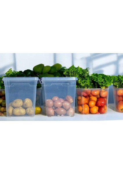 11 Litre Plastik Kilitli Kapaklı Dikey Derin Meyve Sebze Saklama Düzenleme ve Depolama Kabı