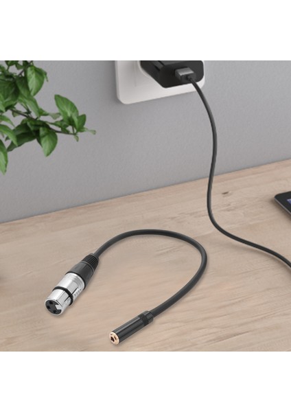 0. Tel 3 Pin Xlr Dişi 3.5mm 1/8 Inç Dişi Stereo Ses Adaptörü Mikrofon Kablosu (Yurt Dışından)