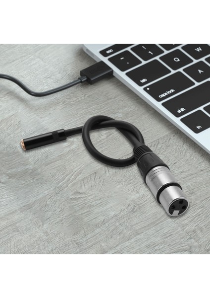 0. Tel 3 Pin Xlr Dişi 3.5mm 1/8 Inç Dişi Stereo Ses Adaptörü Mikrofon Kablosu (Yurt Dışından)