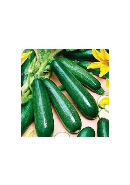 Dolmalık Yemeklik Siyah Kabak Tohumu 15 Adet Doğal Bahçe ve Teras Için Uygun