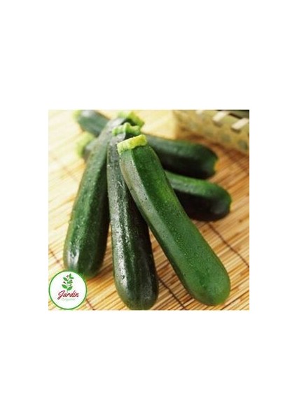 Dolmalık Yemeklik Siyah Kabak Tohumu 15 Adet Doğal Bahçe ve Teras Için Uygun modelleri