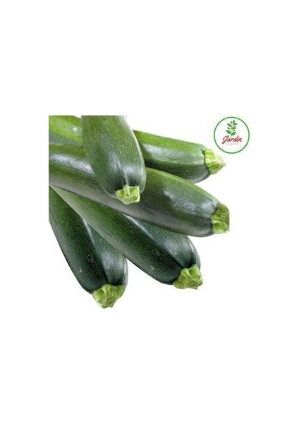 Dolmalık Yemeklik Siyah Kabak Tohumu 15 Adet Doğal Bahçe ve Teras Için Uygun fırsatları