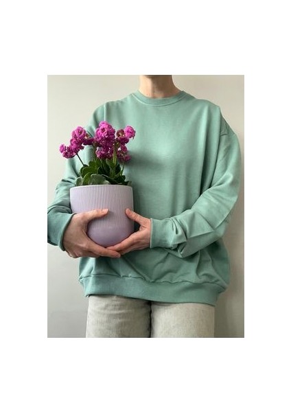 Pamuklu Basic Sweatshirt