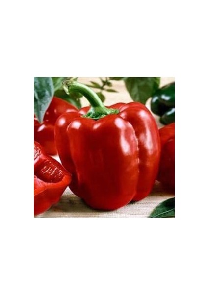 Salçalık Maraş Dolmabiber Tohumu 25 Adet Ev ve Bahçe Için Ideal