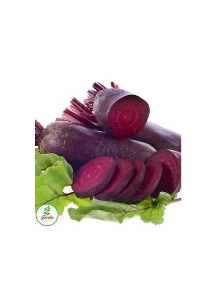 Şalgam Tohumu 50 Adet Doğal Tohum Ev Bahçe Için Ideal indirimleri