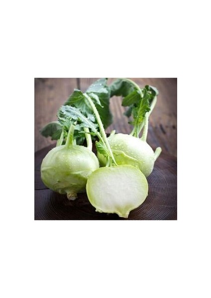 Alabaş Kohlrabi Tohumu 15 Adet Organik Ev Bahçe Için Ideal