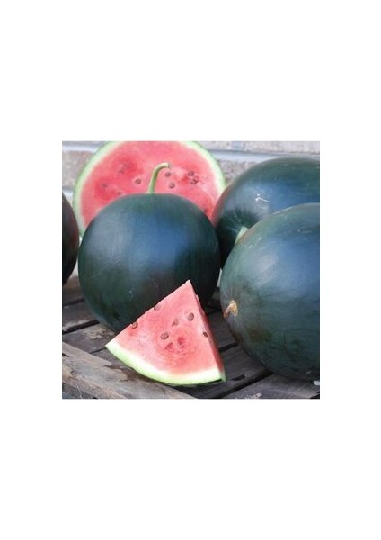 Kara Karpuz Tohumu 10 Adet Doğal Tohum Bağ Bahçe ve Tarla Yetiştiriciliğine Uygundur fırsatları