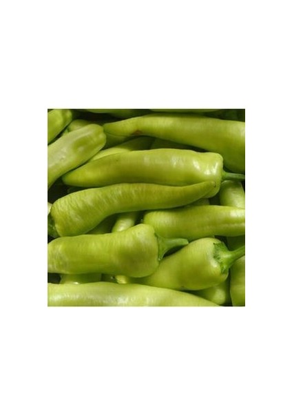 Yalova Çarliston Biberi Tohumu 50 Adet Tatlı Biber Tohumu Ev Bahçe ve Terasa Uygun fırsatları