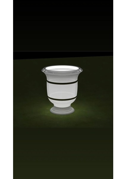 Dekoratif Işıklı Saksı