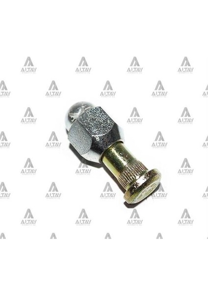 02807 Bijon Somunlu B-2500 Arka