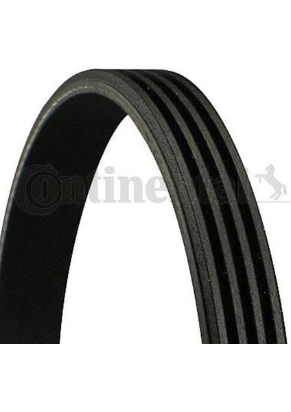 4PK795 Kanallı Kayış Express J5 C25 Honda Rover 38920P01003