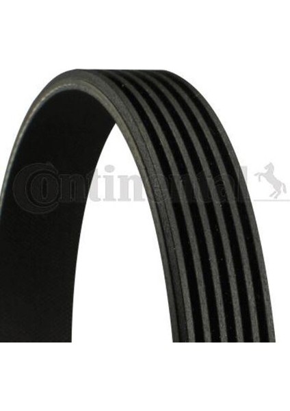 6PK1244 Kanallı Kayış Astra J A17DTJ A17DTR 1.7cdtı 09-C4 C5 3008 P407 5008 2.0hdı 09- 1340008