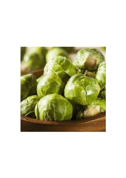 Brüksel Frenk Lahana Tohumu 25 Adet Doğal Tohum Bağ ve Bahçe Yetiştiriciliğine Uygun fırsatları