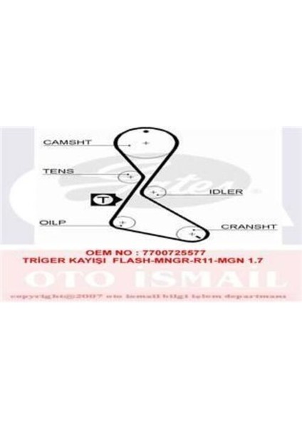 5130XS Eksantrik Kayışı 125X190 Flash Manager Renault 11 Megane 1.7 GD125H9 5P190 CT683 7700725577