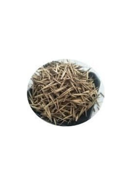 5 Adet Yeşil Bambu Ağaç Tohumu Orjinal Moso Bambu Tohumu Saksı Toprak Sürpriz Hediye Sebze Tohumu modelleri
