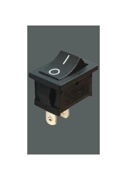 Siyah Tekli Anahtar 2 Ayaklı Siyah (On-Off) fırsatları