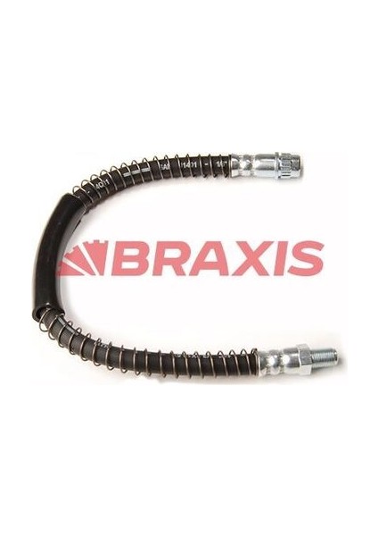 AH0055 Arka Fren Hortumu Master 4620100Q0D