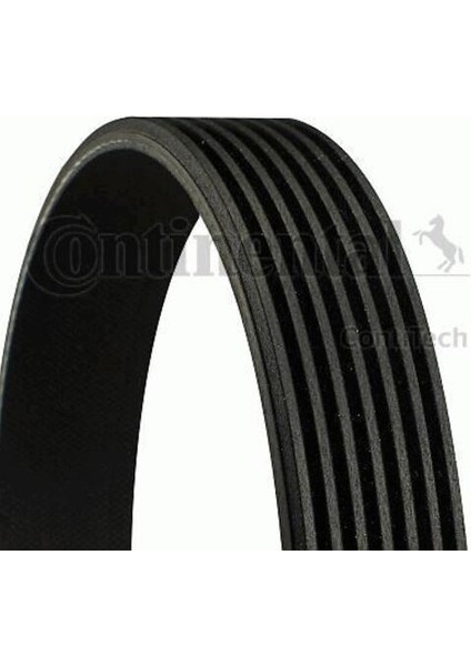 7PK2061 Kanallı Kayış Civic 1.6 1.8 05-Civic S 1.8 06-Cr V 2.0 06- 31110-RWK-003