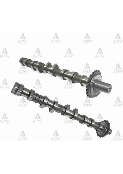 09901 Eksantrik Mili Accent 00-06 Emme 2410026601