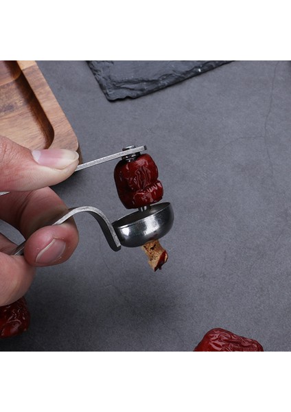 D Tarzı Paslanmaz Çelik Kiraz Pitters Uzun Saplı Meyve Tart Tohum Sökücü Hünnap Alıç Meyve ve Sebze Aracı Kiraz Tart (Yurt Dışından) fırsatları