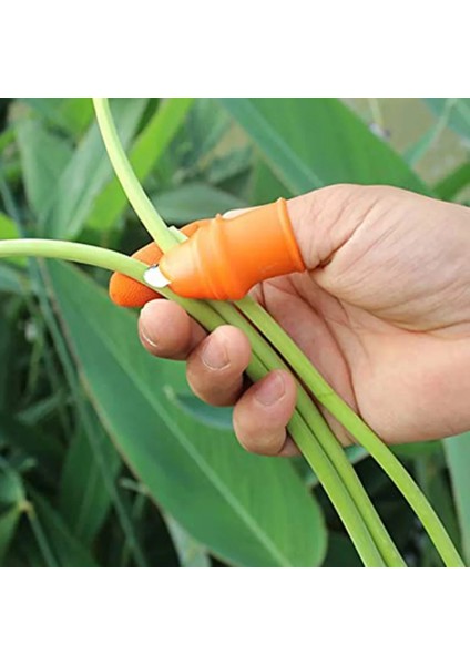 M Tarzı Sebze Toplama Saksı Trim Silikon Başparmak Bıçağı Set Parmak Bıçağı Koruyucu Başparmak Trim Silikon Başparmak Bıçağı Bahçe Aletleri #50G (Yurt Dışından)
