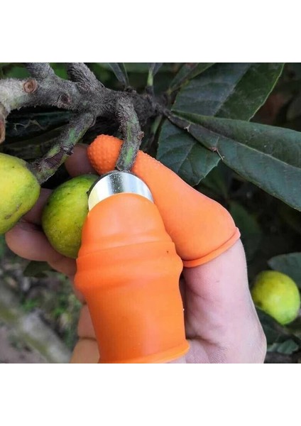 5.3cm Tarzı Tarımsal Yolma Cihazı Silikon Parmak Başparmak Bıçağı Parmak Karyolası ile Kesilmiş Sebze Bıçağı-L-Abux (Yurt Dışından) fırsatları