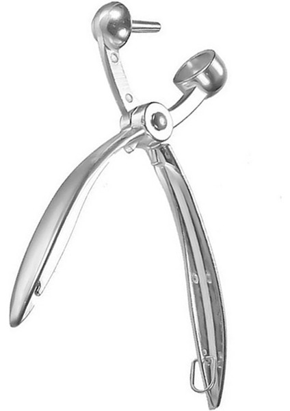 Gümüş Tarzı Sıcak!erry Meyve Pitter Aracı Çinko Alaşım Tart Aksesuarı Ev Mutfak Ev Manuel Presleme Zeytin Pitters Gadget (Yurt Dışından)