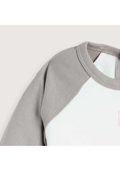 Dream Cloud Body modelleri