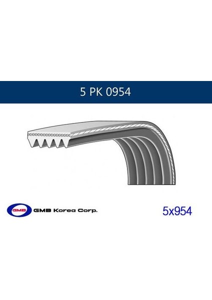 5PK0954 V Kayışı Palio Siena 1.2
