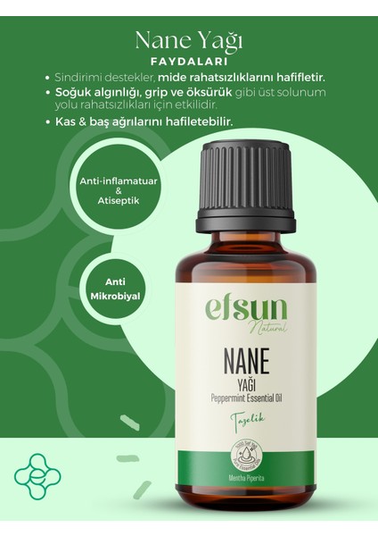 Nane Uçucu Yağı %100 Doğal Saf 10 ml