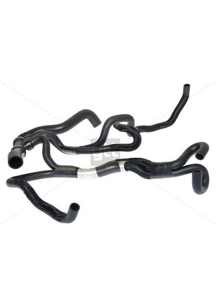 50443 Radyatör Hortumu Alt Laguna Iıı 07 215030038R