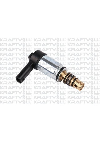 19011026 Kompresör Kontrol Valfi Opel Insıgna