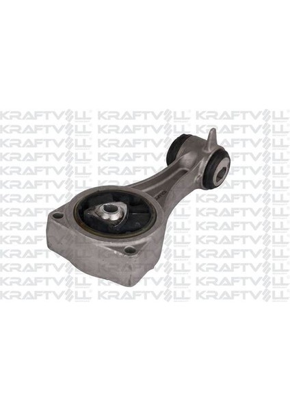 10010986 Motor Takozu Laguna Iıı 1.5 Dcı 113560015R