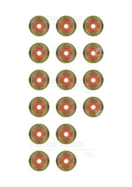 12-35172-01 Subap Lastiği Set Bmw M47 M67 Freelander I M47 204D3 L314 2.0 Td3 214.800