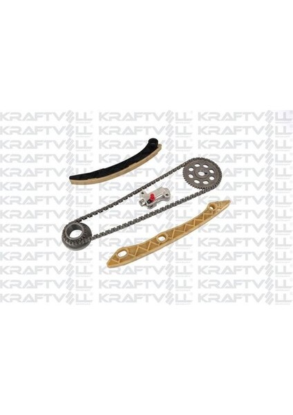 12100066 Eksantrik Zincir Seti Honda Civic Fd6 1.6 1.8 06-Civic Fb7 11-Civic Fc5 2016-ACCORD 2.0 08-13 Crv 2.0 Re2 Re5 2006- 14401RNAA01