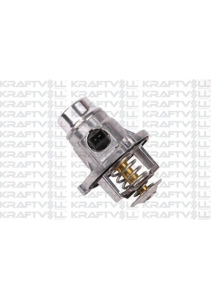 08100151 Termostat Gövdeli Bmw F22 F30 G20 F32 F10 E60 E63 F12 F13 F06 E65 G14 G15 G01 G02 E53 E70 F15 G05 E71 F15 11537586885