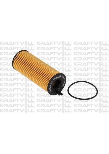 06020010 Yağ Filtresi Bmw E81 E82 E87 E88 E90 E60 F10 F01 E84 E83 E70 E71 F14 11427807177