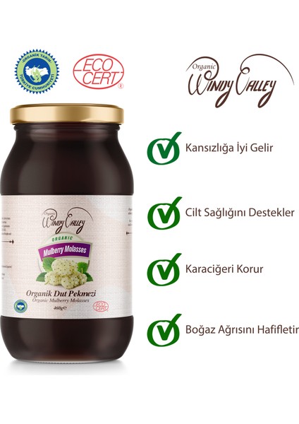 Dut Pekmezi Soğuk Sıkım Katkısız Şeker ilavesiz (460gr)