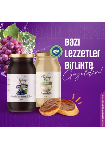 Üzüm Pekmezi(460 gr) & Organic Windy Valley Tahin (300gr) Katkısız Şeker İlavesiz