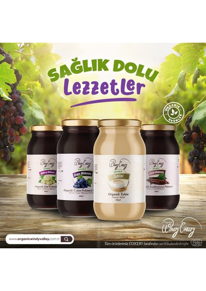 Pekmez Seti Soğuk Sıkım Katkısız Şeker ilavesiz (3'lü Set ) Organic Windy Valley Üzüm Pekmezi 460gr,Dut Pekmezi 460gr,Keçi Boynuzu Pekmezi 380gr