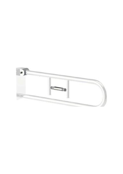 Engelli Mafsallı Kilitli Wc Kağıtlıklı Ø32 73X24X11CM Renkli Beyaz