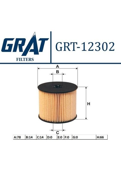 12302 Yakıt Filtresi 206-307-PARTNER-C5-BERLINGO 2.0 Hdı-Scudo 2.0 Jtd Dw9 1906.A2