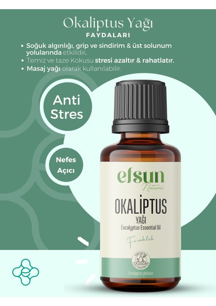 Okaliptus Uçucu Yağı %100 Doğal Saf 10 ml