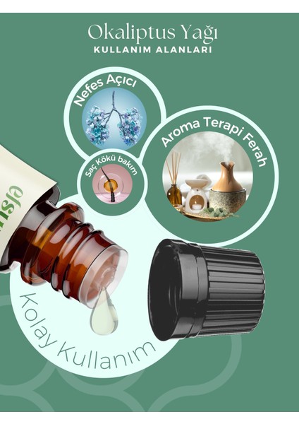 Okaliptus Uçucu Yağı %100 Doğal Saf 10 ml