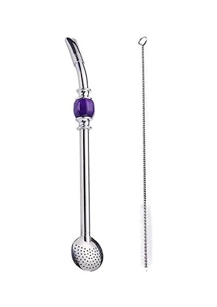 Mor Tarzı Paslanmaz Çelik Saman Kaşık Çay Filtresi Yerba Mate Temizleme Fırçası ile Payet Kabak Yeniden Kullanılabilir Kahve Araçları Hediye (Yurt Dışından)