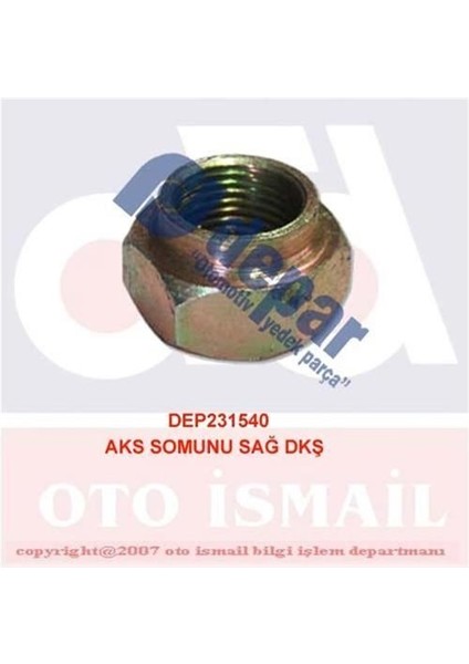 1540 Aks Somunu Sağ Dks 14044871