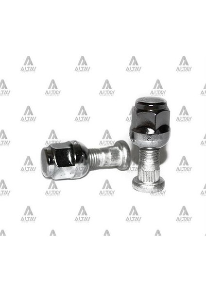 02850 Bijon Somunlu Jazz Crv Hrv City Fıbersız
