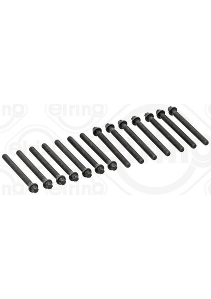 802.820 Silindir Kapak Saplaması Set Bmw M52-54-E46-39-38-60-X4 11121740065