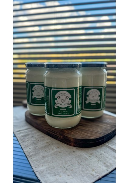 Koyun YOĞURT*3ADET(700GR)