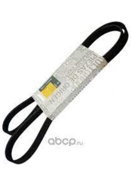 Renault-Mais-Orjinal 117206842R Alternatör Kayışı 117206842R